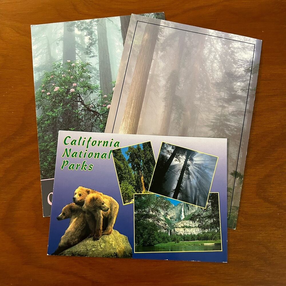 Lot Of 3 California Redwoods National Parks Post Cards Ephemera Travel